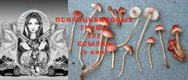 каннабис Балахна
